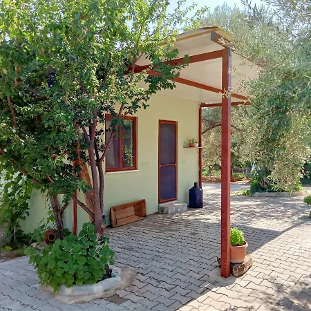 Assos Gunoven Butik Apart