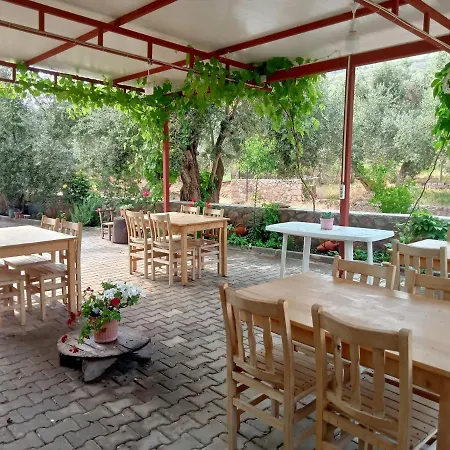 Apartahotel Assos Gunoven Butik Apart Ayvacik (Canakkale)