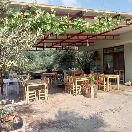 Apartahotel Assos Gunoven Butik Apart Ayvacik (Canakkale)
